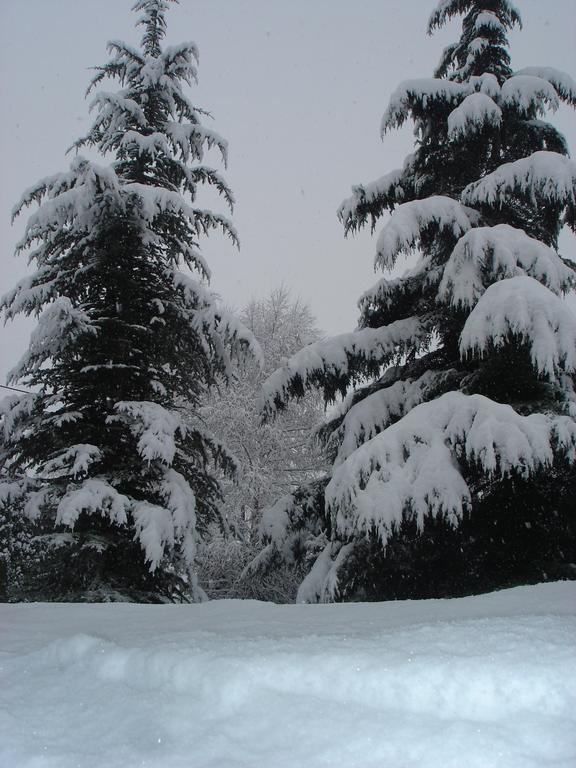 Residence Eden Park Aosta Dış mekan fotoğraf